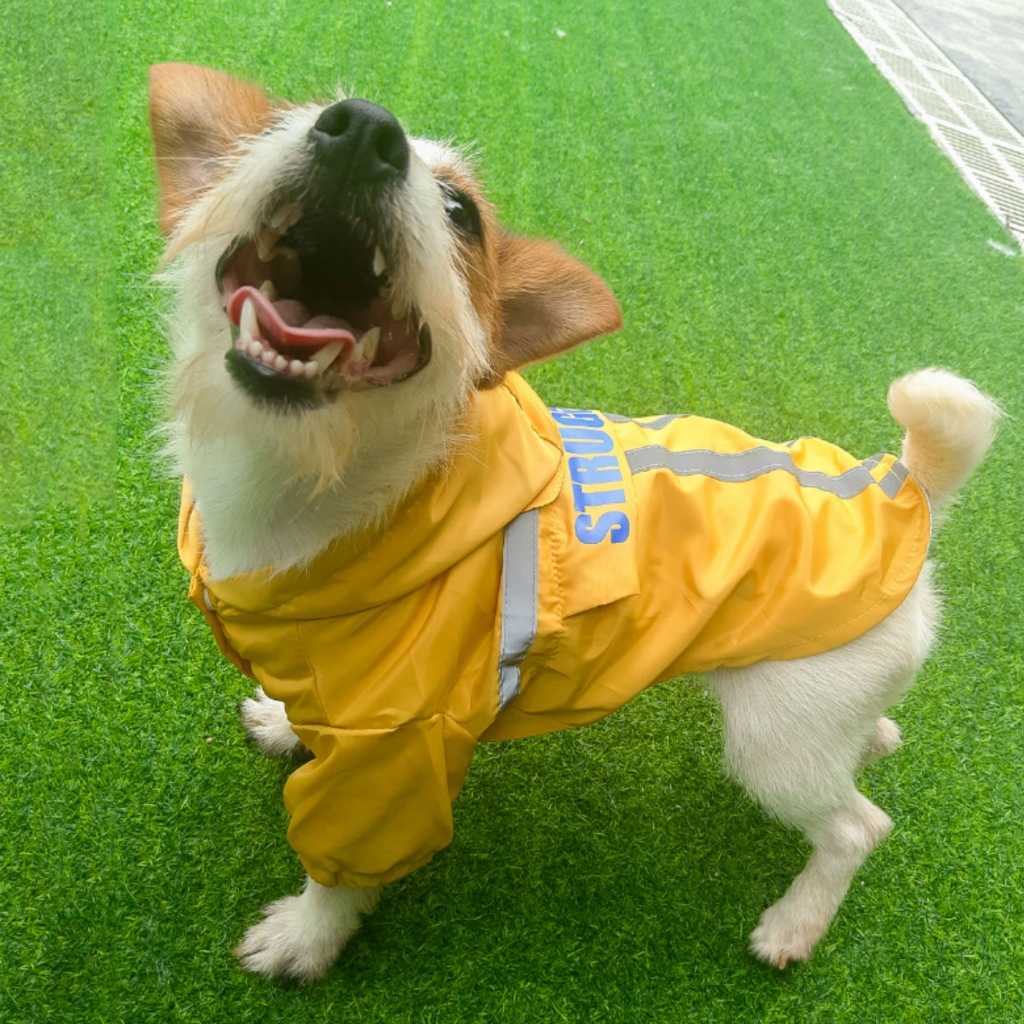 Pet Raincoat Reflective Strip Hooded Dog Clothing Waterproof Folding Direct Pet Clothing