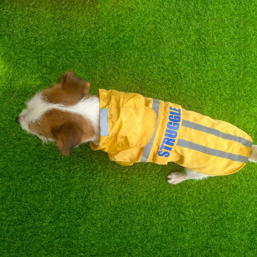 Pet Raincoat Reflective Strip Hooded Dog Clothing Waterproof Folding Direct Pet Clothing