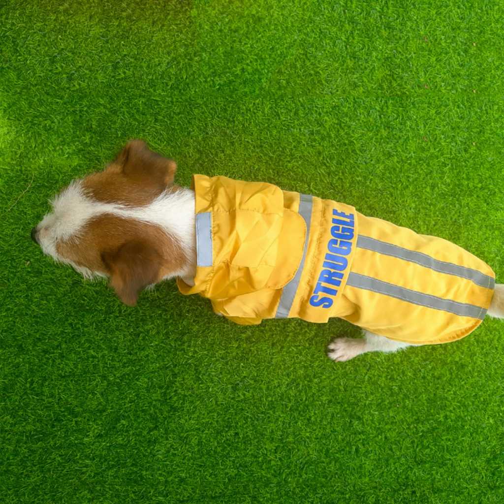 Pet Raincoat Reflective Strip Hooded Dog Clothing Waterproof Folding Direct Pet Clothing