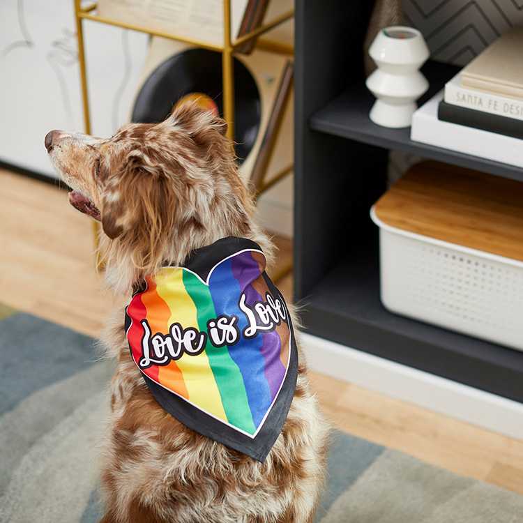 Pet Scarf Bandana Triangle Good Rainbow Heat Pattern Pet Bandanas Dogs