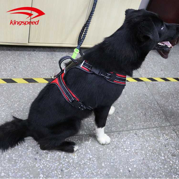 Pet Supplies Adjustable Heavy Duty Quick Release No Pull Dog Harness Small  Medium  Large Dog