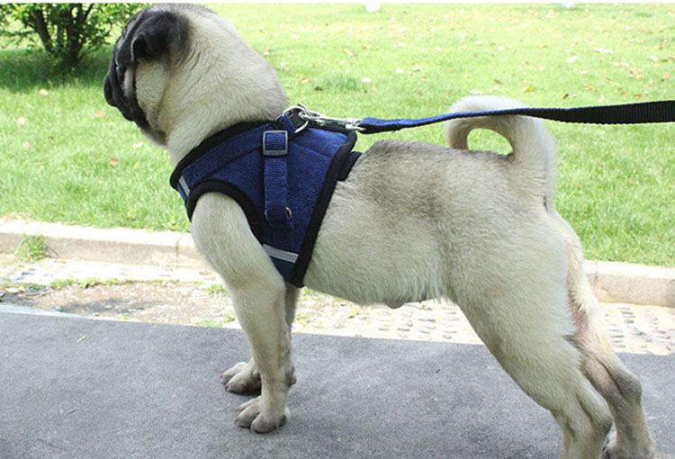 Pet Supplies Corduroy Adjustable Custom Reflective Pet Chest Straps Dog Rope Harness Leash Set