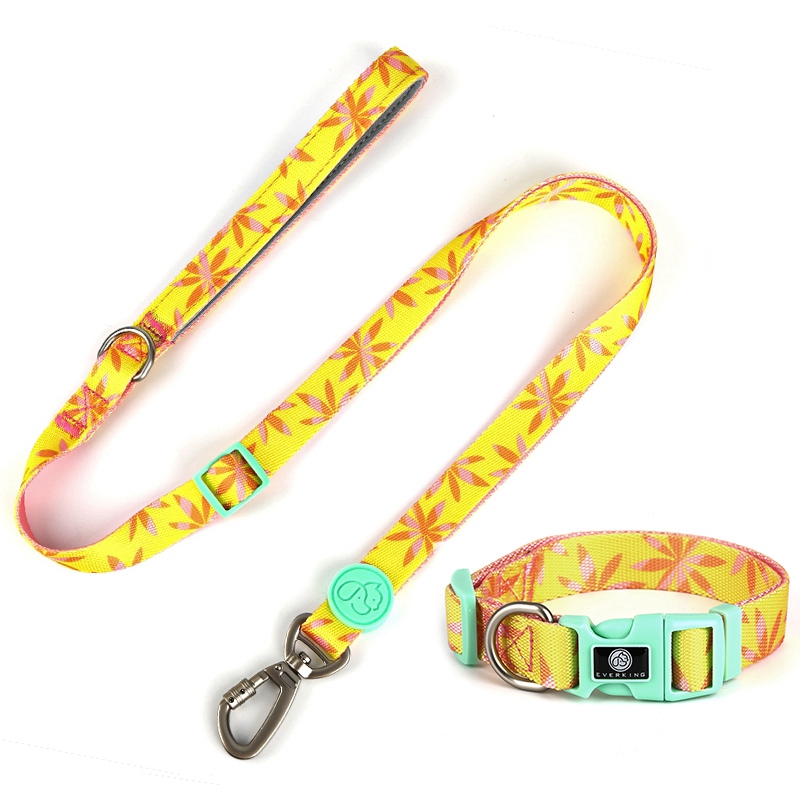Pet Supplies Customized Sublimation Collar Dog Puppy Leash Collar Set