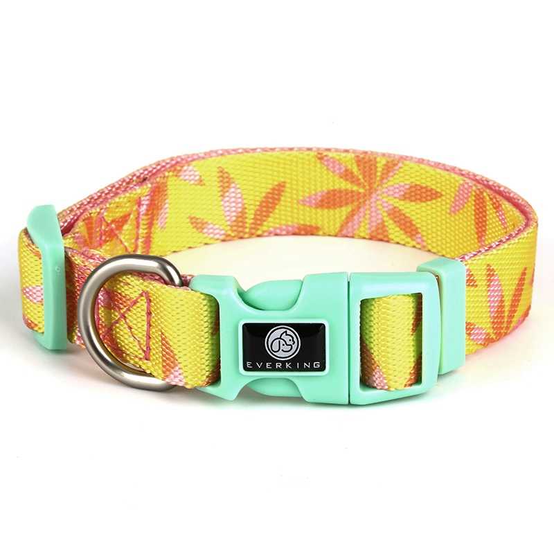 Pet Supplies Customized Sublimation Collar Dog Puppy Leash Collar Set