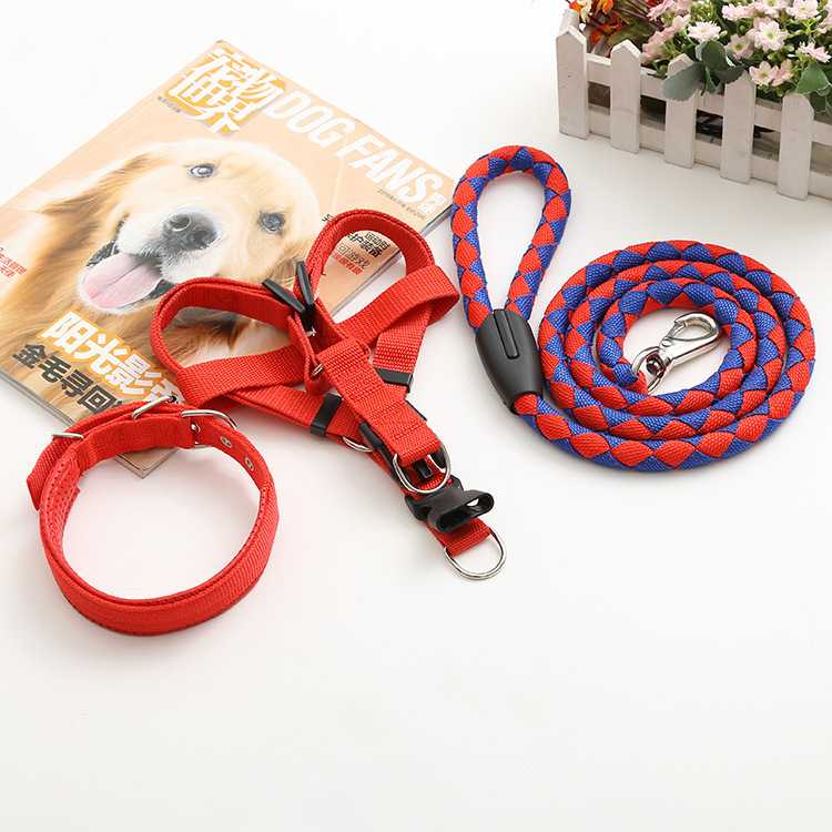 Pet Supplies Nylon Dog Chain Threepiece Set Lengthened Dog Leash No Pull Easy Walk Outdoor XXL Size