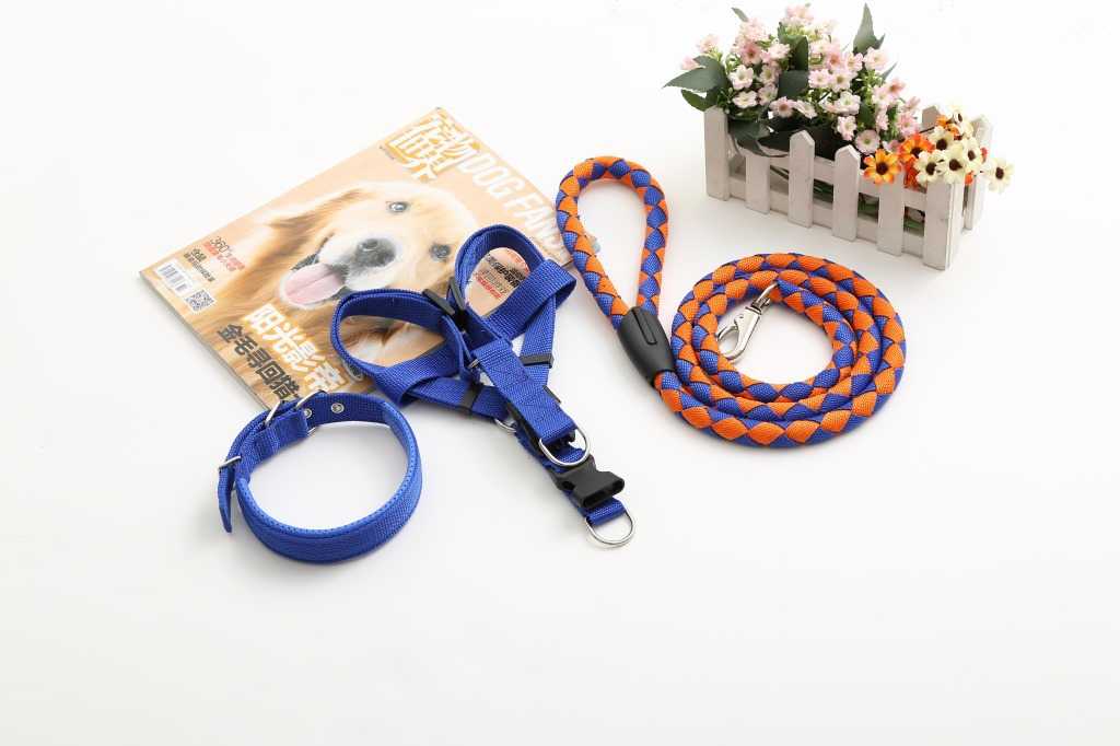 Pet Supplies Nylon Dog Chain Threepiece Set Lengthened Dog Leash No Pull Easy Walk Outdoor XXL Size