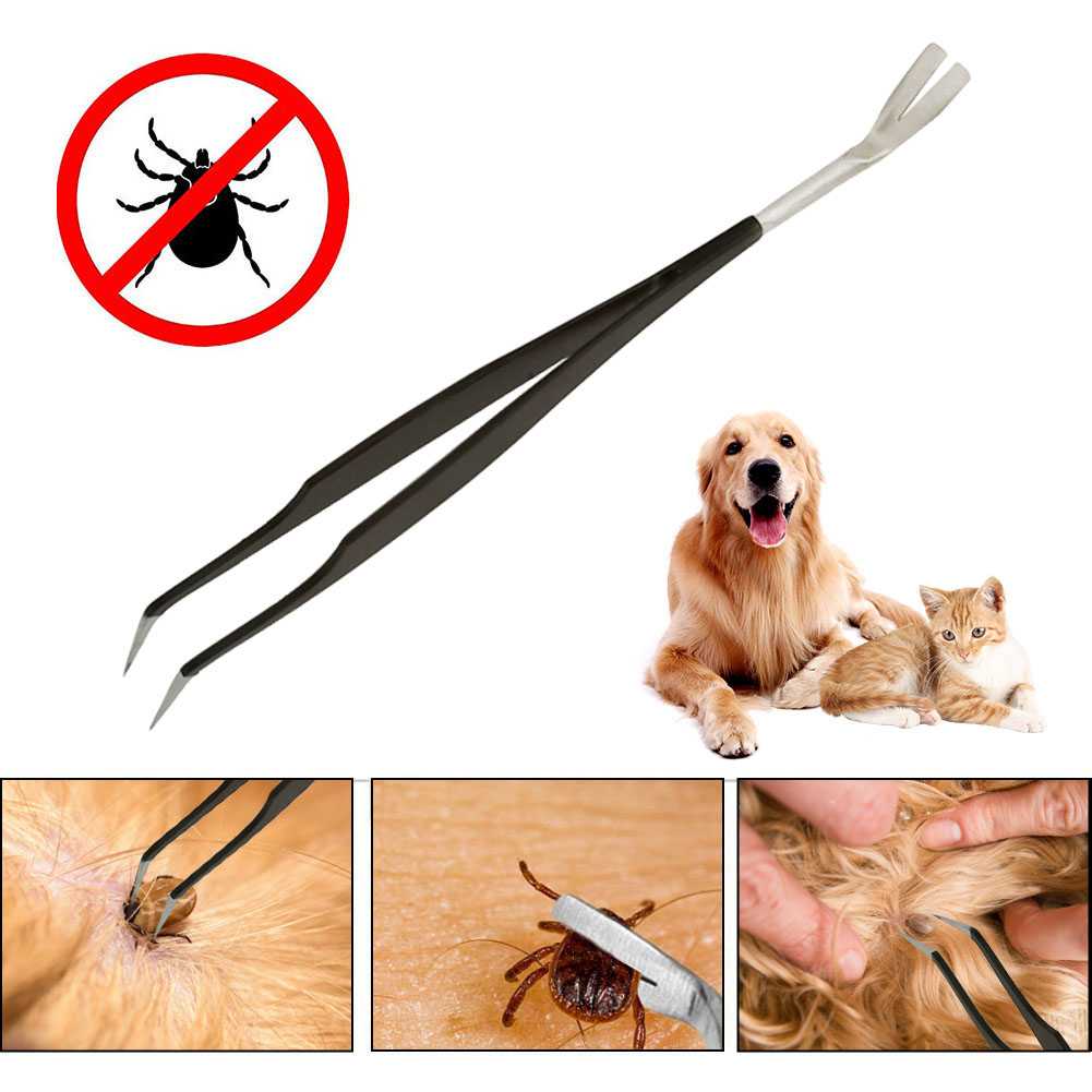 Pet Tick Remover Tool Set Tick Hook Stainless Steel Tick Remover Dogs Cats