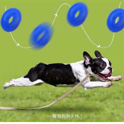 Pet Toy Biteresistant Vocal Ball Tpr Clean Teeth Molar Dog Toy