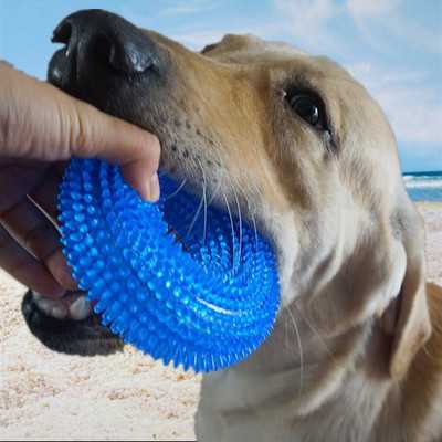 Pet Toy Biteresistant Vocal Ball Tpr Clean Teeth Molar Dog Toy