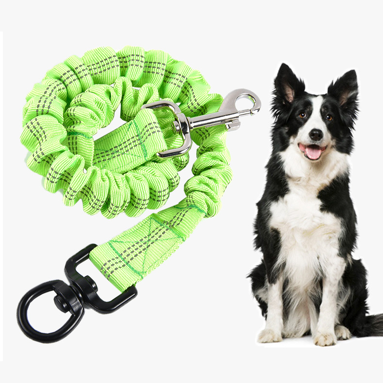 Premium Extended Buffer Traction Rope Safety Cat Dog Leash Rope Multicolor Double Nylon Twisted Rope Pet Leash
