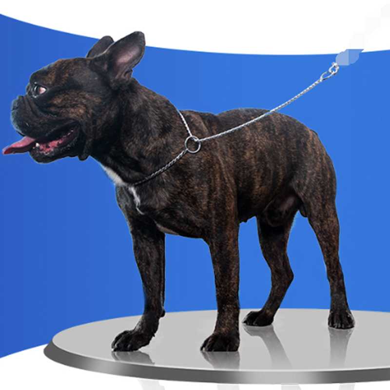 Promotion Stocked Pet Products Heavy Strong Metal Chain Dog Chain Iron Leash