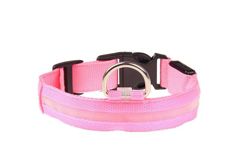 Promotional Dog LED Nylon Webbing Collar Nylon Webbing