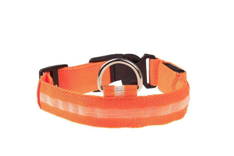 Promotional Dog LED Nylon Webbing Collar Nylon Webbing