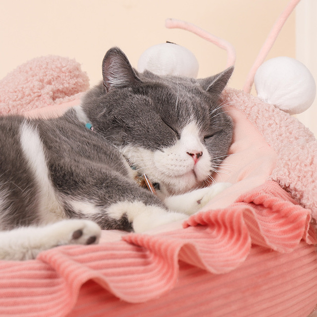 Promotional Oem Pet Bed Reasonable Comfy Pet Bed Cute Pet Beds