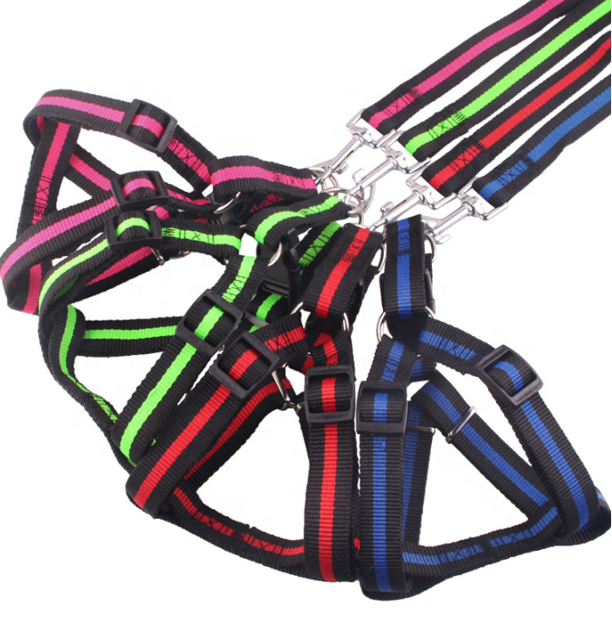 Quick Release Adjustable Elastic Pet Dog Collar Leash With Reflective Tape