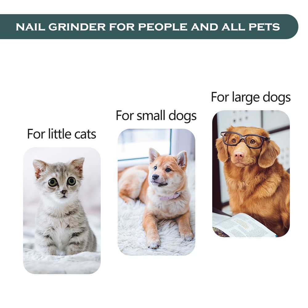 Quiet Electric Paw Trimmer Pet Nail Grinder Dog Clean Up Products Manufacturer