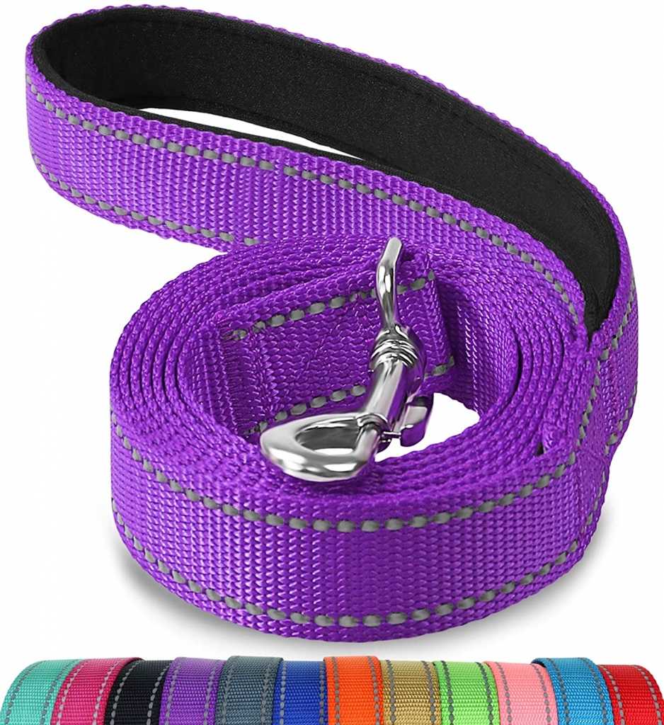 Reflective Nylon Heavy Duty Strong Comfortable Custom Pet Dog Training Long Leash With Mental Buckle