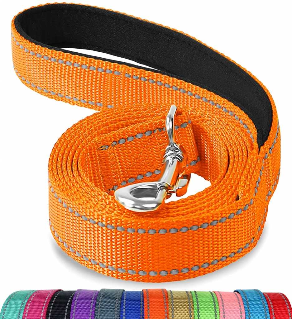 Reflective Nylon Heavy Duty Strong Comfortable Custom Pet Dog Training Long Leash With Mental Buckle