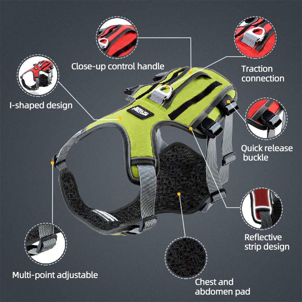 Reflective Outdoor Vest Dog Harness Large Dog