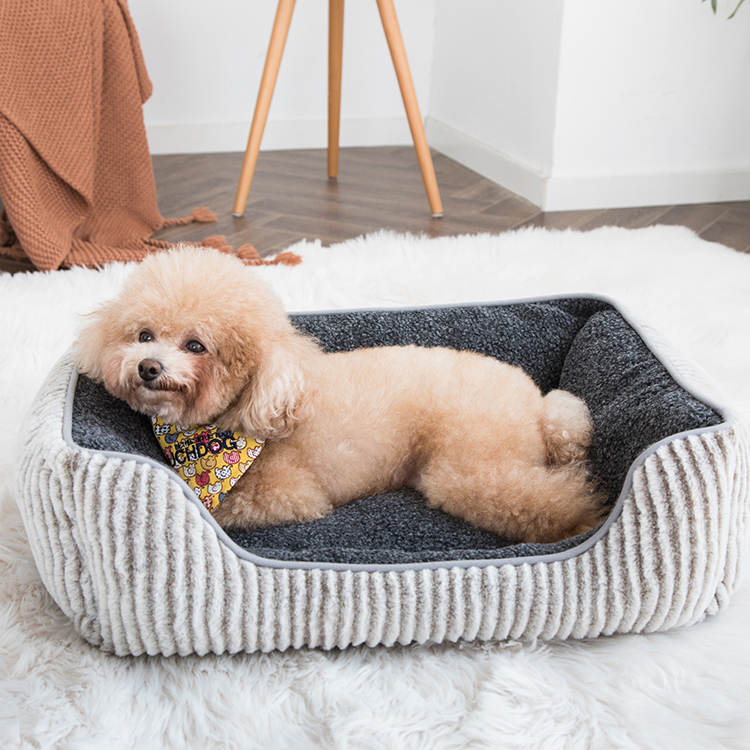 Short Plush Dog Sofa Bed Pet