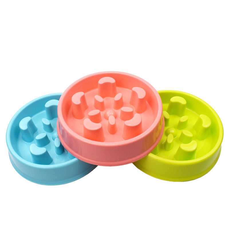 Slow Pet Feeder Dog Bowl Product Safety