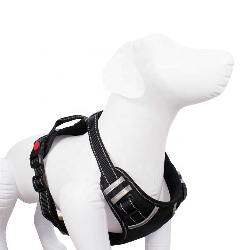 Small To Xxl Size Dog Body Belt Denim Nylon Car Safety Seat Belt Dog Harness