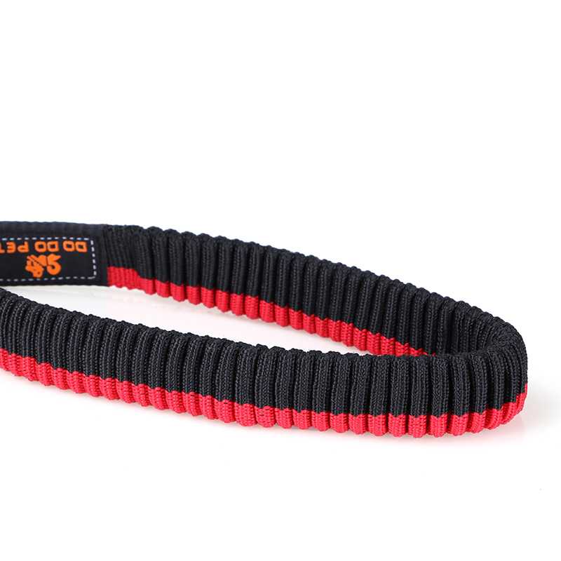 Smart Customized Nylon Rope Stripe Pet Training Accessories Dog Leash