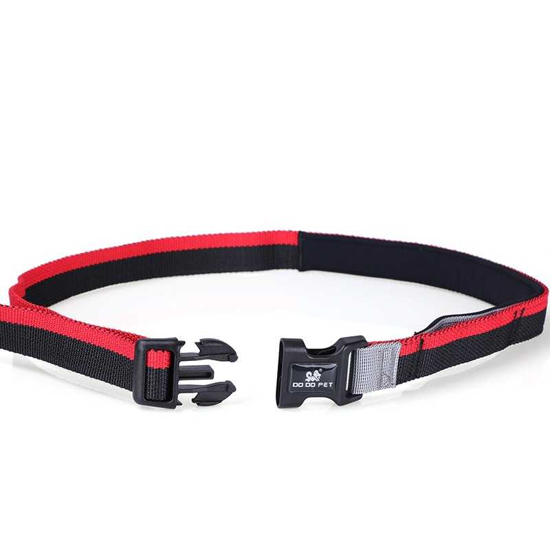 Smart Customized Nylon Rope Stripe Pet Training Accessories Dog Leash