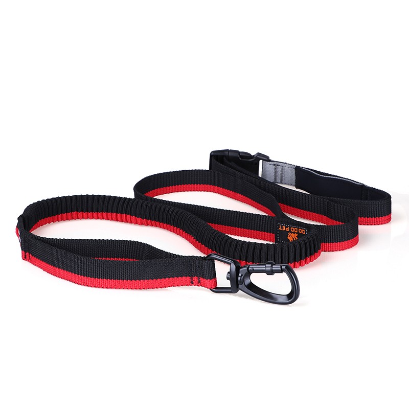 Smart Customized Nylon Rope Stripe Pet Training Accessories Dog Leash