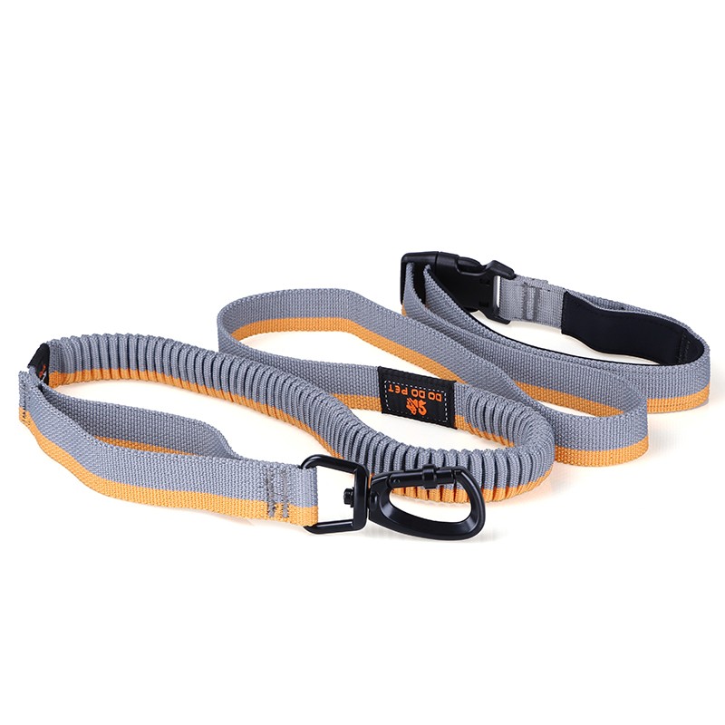 Smart Customized Nylon Rope Stripe Pet Training Accessories Dog Leash
