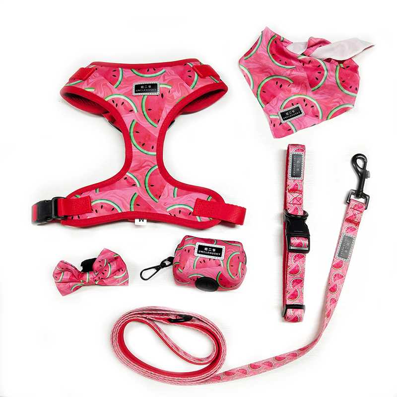 Soft No Pull Pet Adjustable Reversible Dog Harness Leash Collar Poo Bag Holder Set