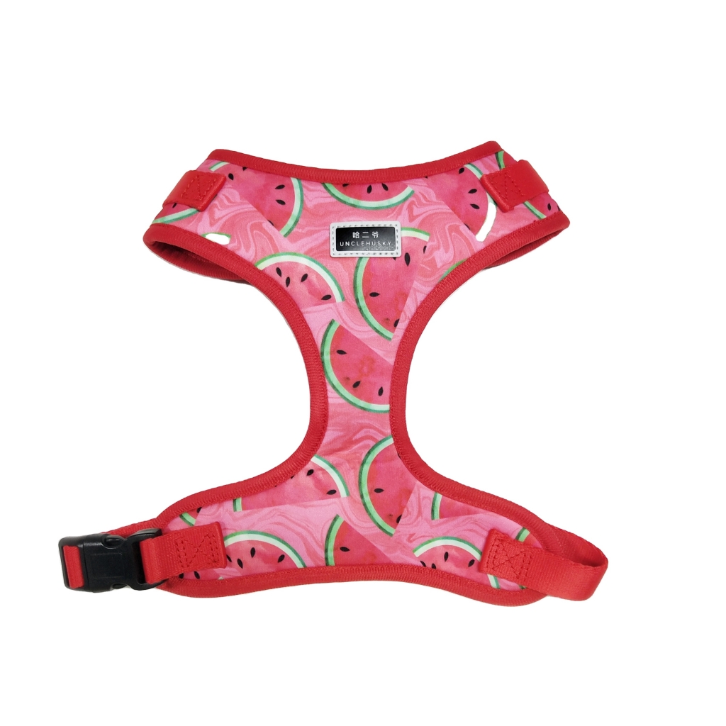 Soft No Pull Pet Adjustable Reversible Dog Harness Leash Collar Poo Bag Holder Set