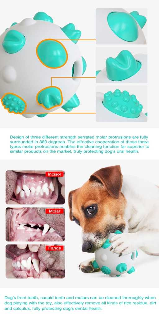 Soft TPR Pet Toy Dental Tooth Cleaning Interactive Toys Dog Ball Chew Toy