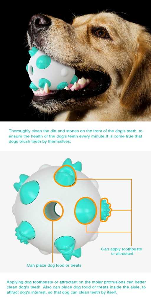 Soft TPR Pet Toy Dental Tooth Cleaning Interactive Toys Dog Ball Chew Toy