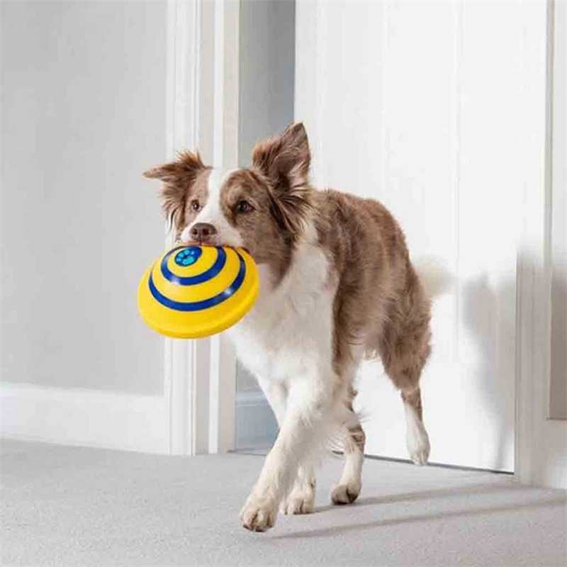 Sounding Disc Woof Glider Pet Dogs Interactive Vocal Ball Dog Chewing Dog Tooth Ball Clean Food Ball Pet Toy