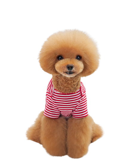 Spring Pet Clothes Striped Dog TShirt