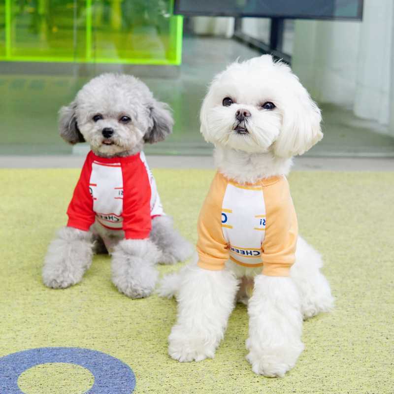 Spring Summer Pet Dog Cat Clothes