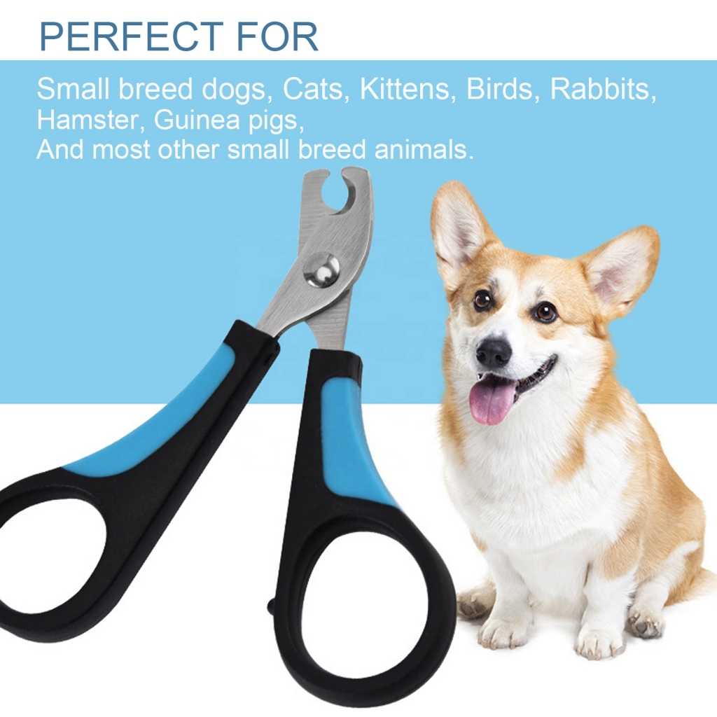 Stainless Steel Pet Nail Trimmer Pet Nail Grooming Scissors Cutter