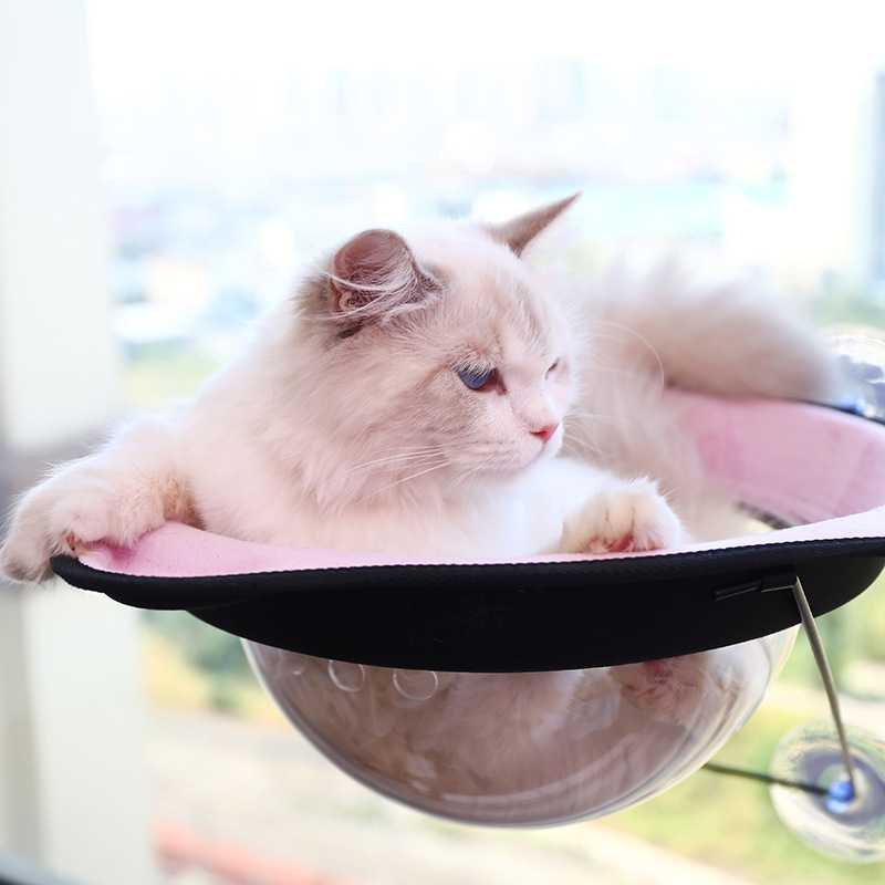 Strong Hanging Cat Hammock Bed Comfortable Hanging Window Pet Hammock Small Animals