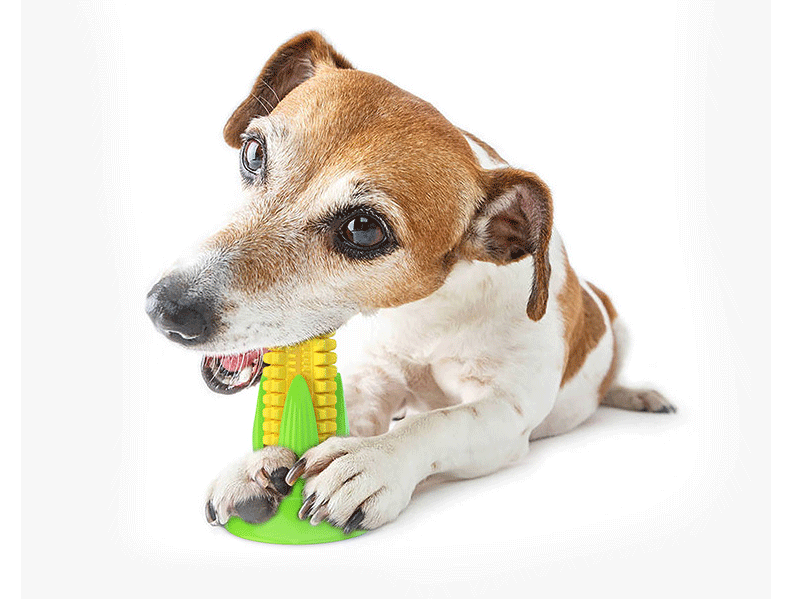 Tooth Cleaning Dog Chew Sticks Pet Dog Rubber Chew Toy Pet Toy Squeaky Chew Dog Toy Toothbrush