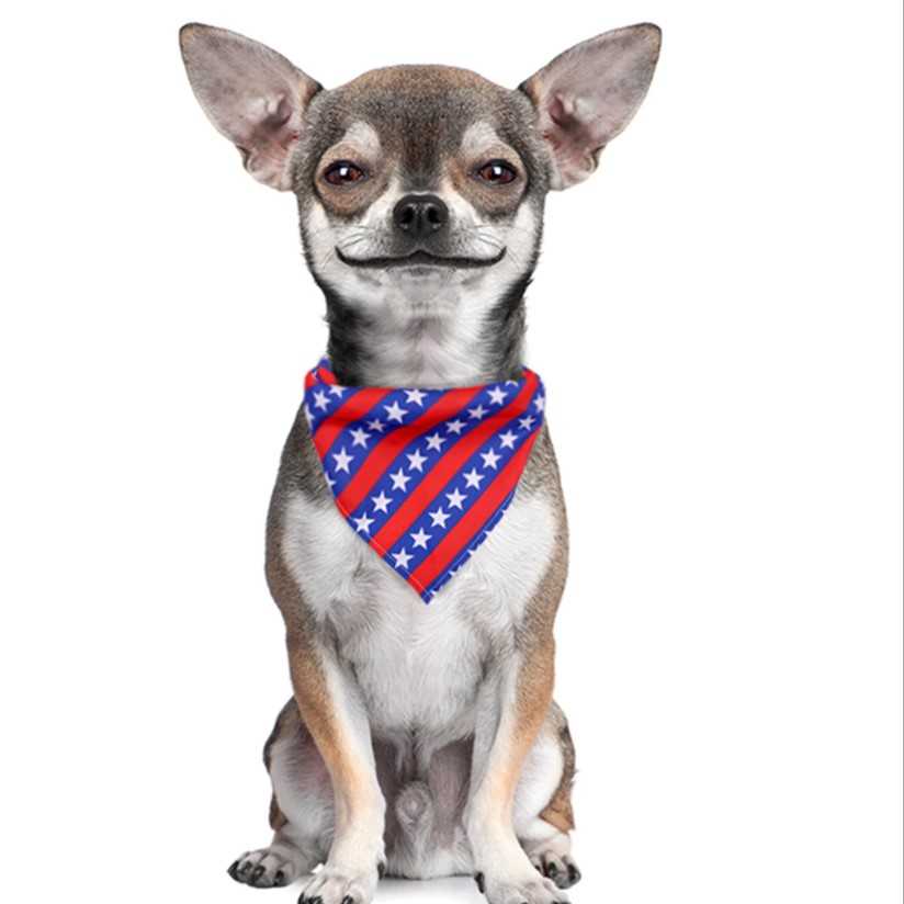 US Flag Independence Day Flag Pet Dog Bandanas