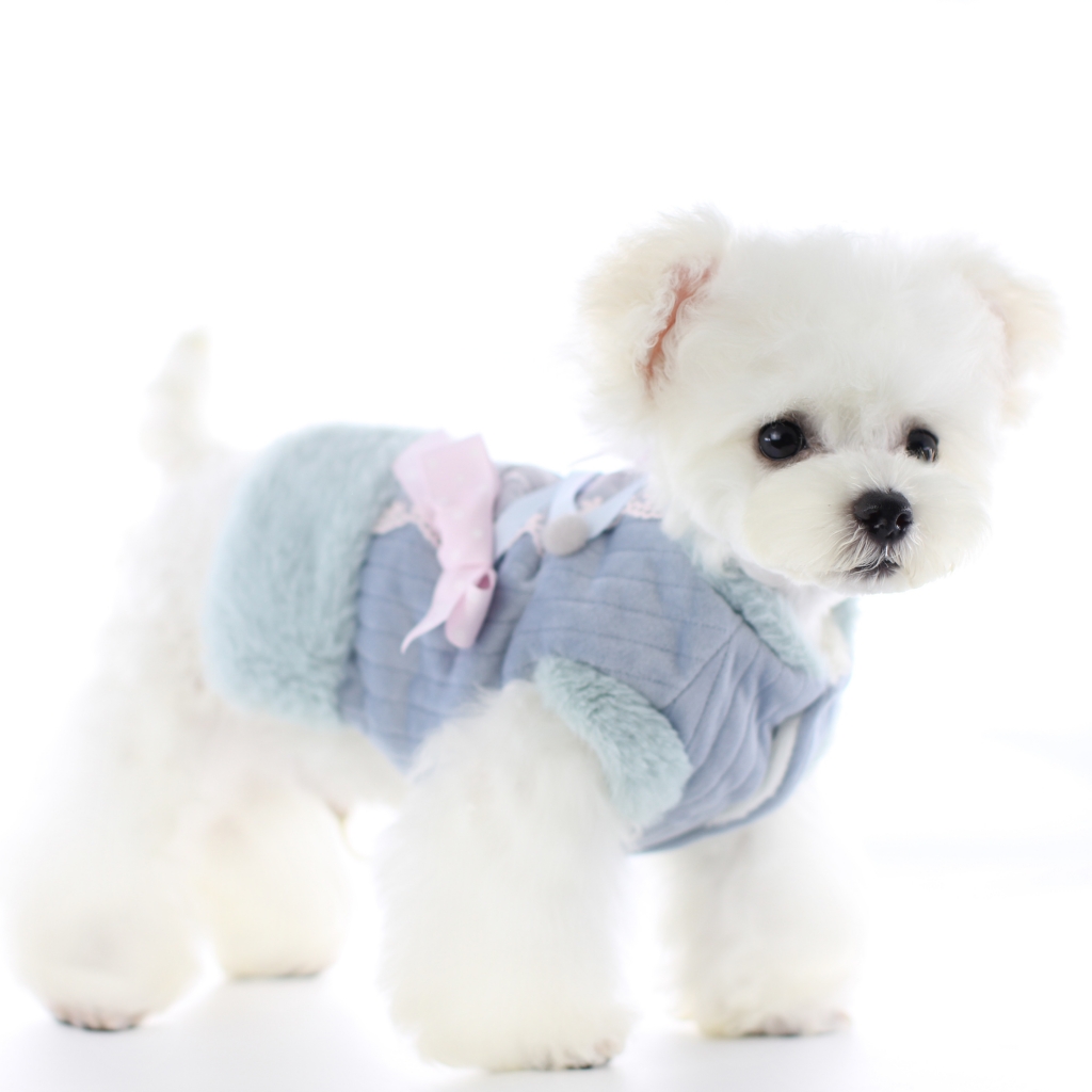 Velvet Dog Dress Warm Comfortable Pet Clothes Dog