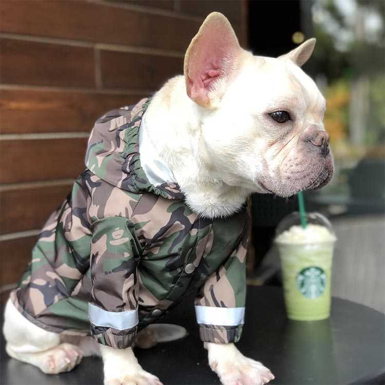 Waterproof Camouflage Outdoor Holiday Dog Clothes French Bulldog