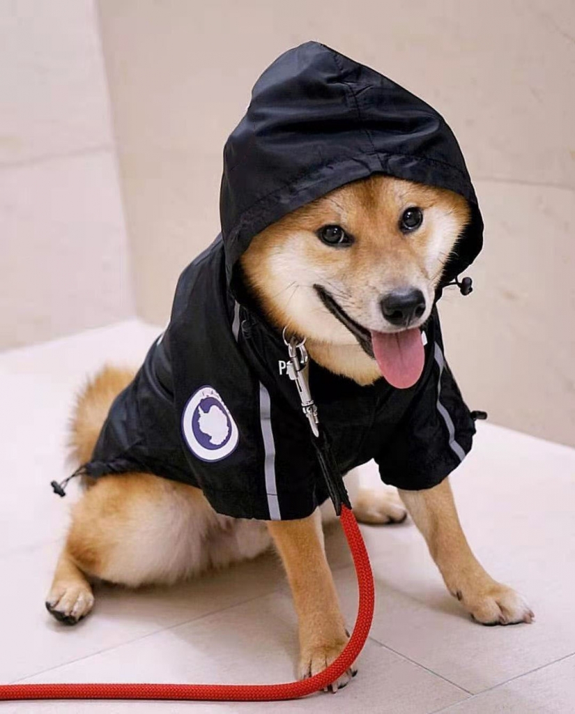 Waterproof Pet Dog Coat Pet Clothes Outdoor Dog Jacket Clothes Hoodie The Dog Face Breathable Raincoat Small Medium Large