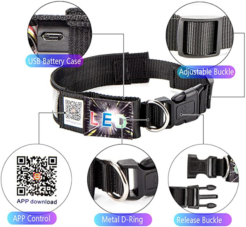 Waterproof USB Rechargeable Led Pet CollarAPP Blue Tooth Controlled Led Dog Collar