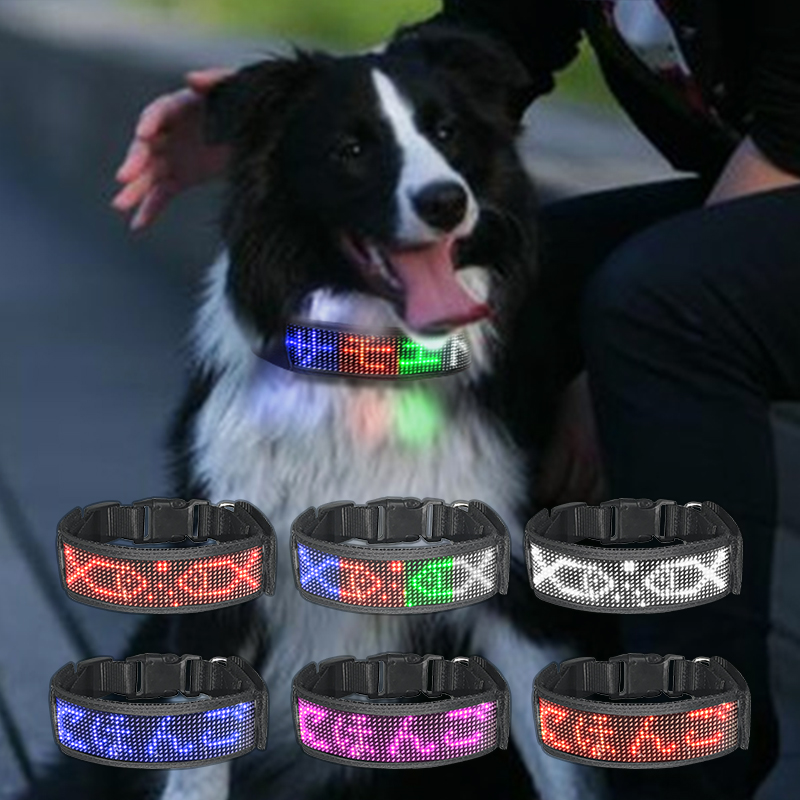Waterproof USB Rechargeable Led Pet CollarAPP Blue Tooth Controlled Led Dog Collar