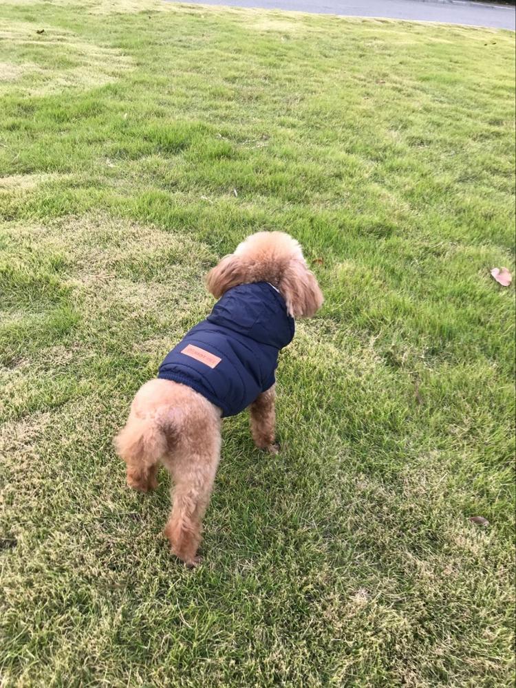 Waterproof Windproof Reversible Plaid Dog Vest Winter Coat Warm Dog Apparel Cold Weather Dog Jacket