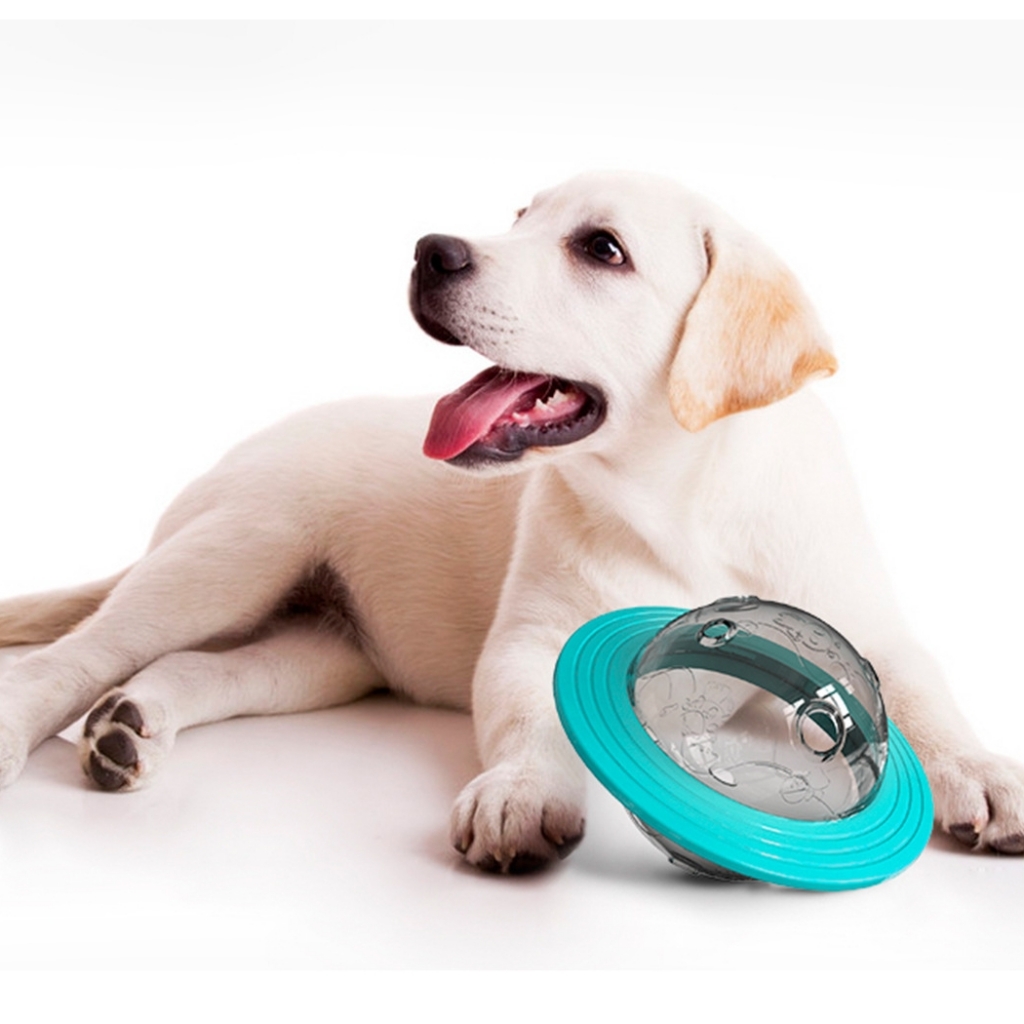 Wholesaler High Performance Interactive Pet Dog Toys