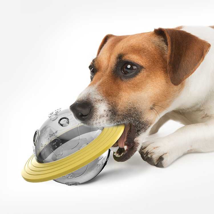 Wholesaler High Performance Interactive Pet Dog Toys