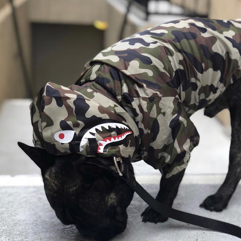 Windproof Dog Camouflage Raincoat Waterproof Shark Pattern Pet Hooded Big Dog Jacket Coat